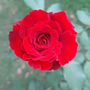 Meet your Posher, Lydia